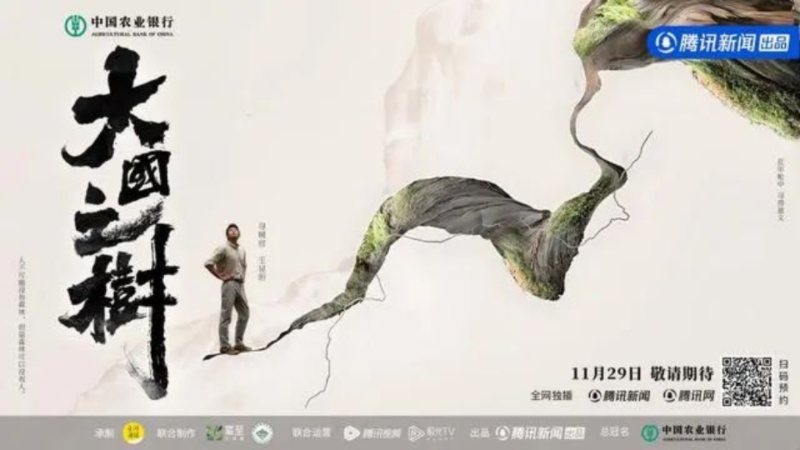 水哥王昱珩探访自然“对话”珍稀树种《大国之树》疗愈上线