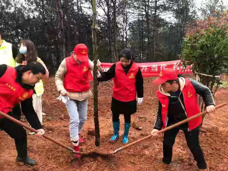 践行绿色环保，喜迎建党100周年——宿松县东北新城妇联在行动